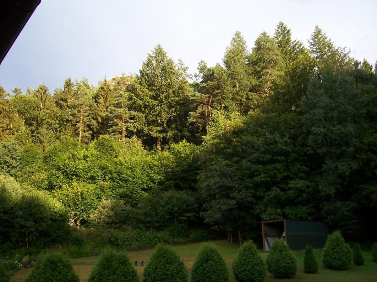 Ferienwohnung Am Pfaffenfels Schönau Kültér fotó