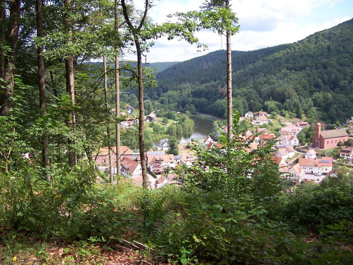 Ferienwohnung Am Pfaffenfels Schönau Kültér fotó