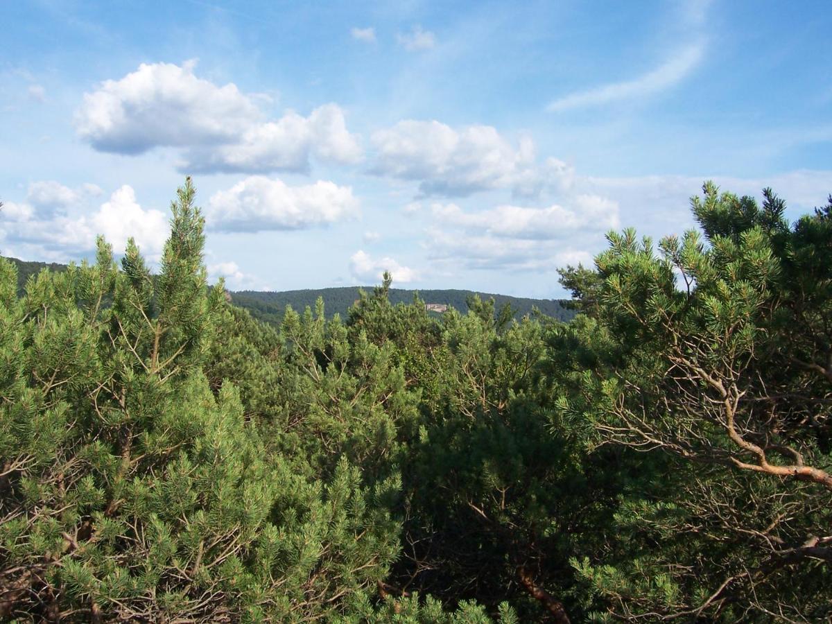 Ferienwohnung Am Pfaffenfels Schönau Kültér fotó